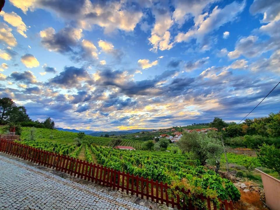 Casa Do Poco - Douro Hotel Peso da Régua Buitenkant foto