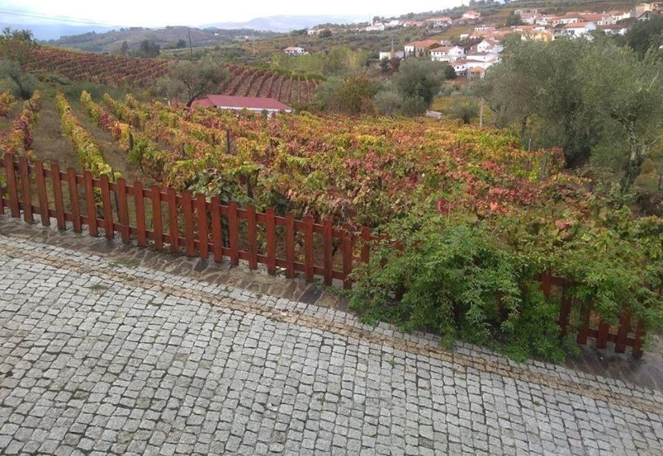 Casa Do Poco - Douro Hotel Peso da Régua Buitenkant foto
